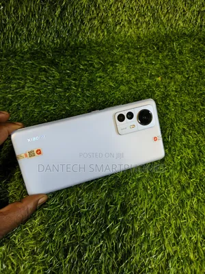 New Xiaomi 12 Pro 256 GB Silver