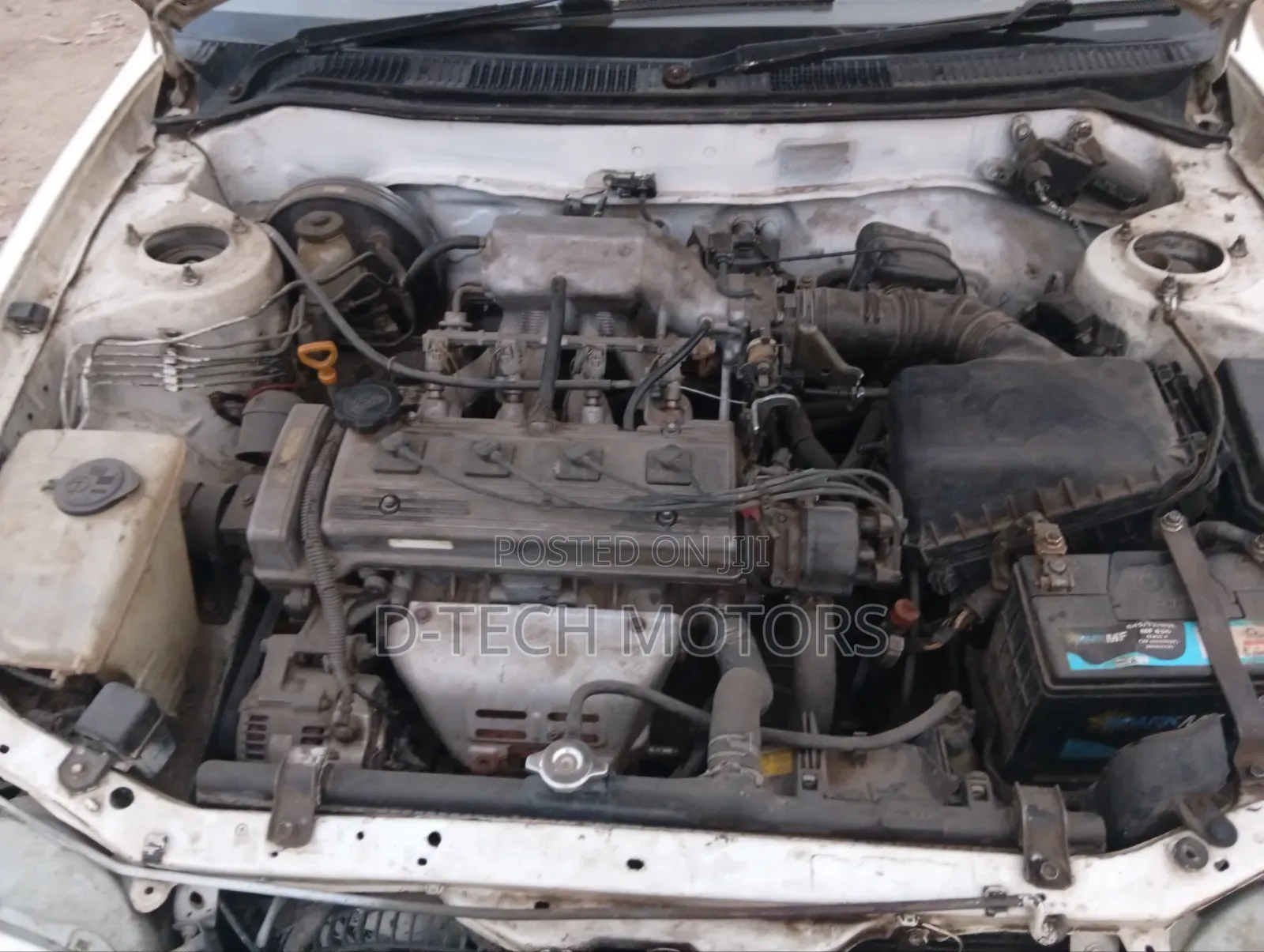 Toyota Corolla 2002 White