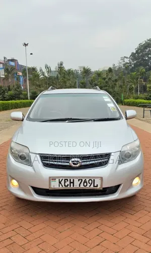 Toyota Corolla Fielder 2010 Silver