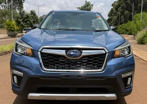 Subaru Forester 2019 Blue