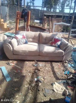 A Brown Butterfly Sofa