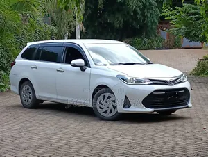 Toyota Corolla Fielder 2019 White