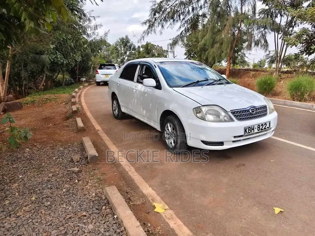Toyota Corolla 2002 White