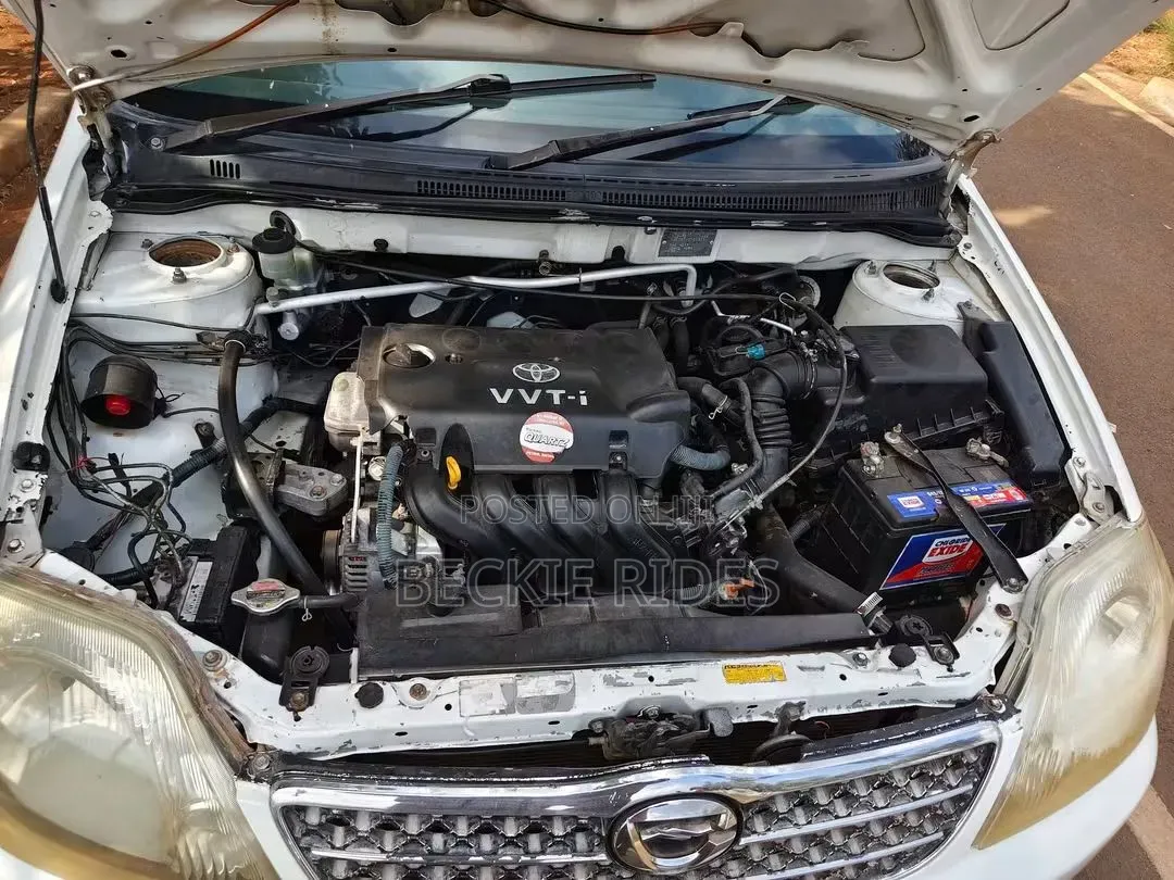 Toyota Corolla 2002 White