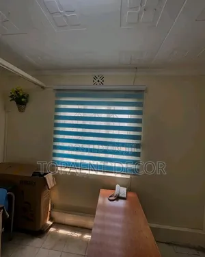 Beautiful and Timeless Zebra Blinds