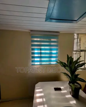Professional Well Done Horizontal Blinds