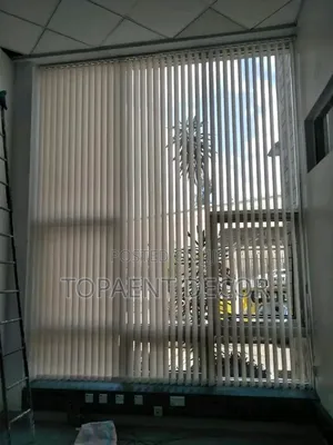 Brilliant White Light Filtering Blinds