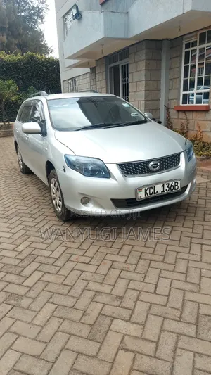 Toyota Corolla Fielder 2011 Silver
