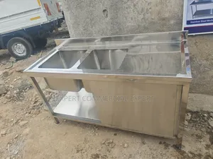 Double Sink With Doors
