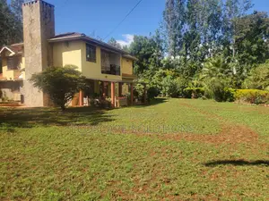 Arabica Grass