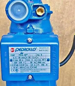 Brand: Pedrollo
Model: PKm 60
Type:Peripheral(Regenerative)Water Pump