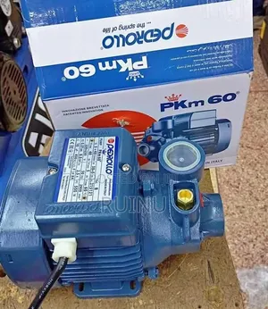 Pedrollo Water Pump – Smooth Quiet Operation