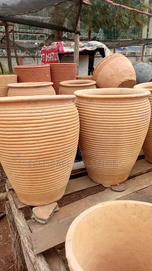 Clay Pot Planters