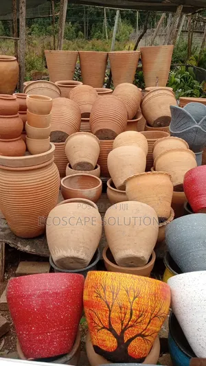 Clay Pot Planters