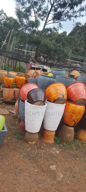 Clay Pot Planters