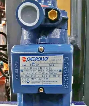 Description
Brand: Pedrollo
Model: PKm 60
