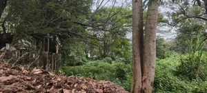 Prime 2.1 Acres for Sale