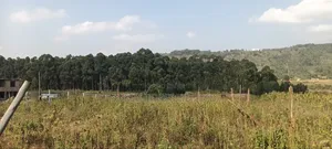 2 Acres Ngoirubi Thigio