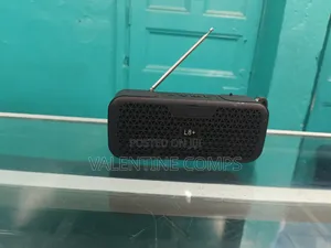 Mini Speaker