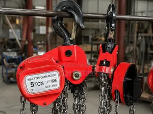HS-C Type Chain Block With a 5-Ton Capacity and a 6-Meter Lift
