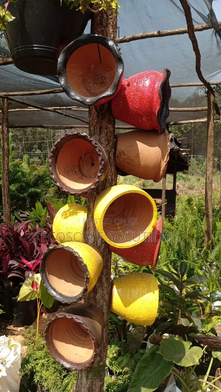 Clay Pots Plantsers