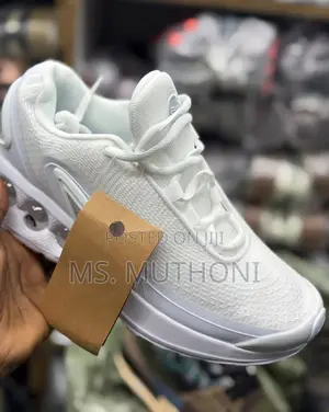 the Nike Air Max DN Size 36-45