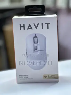 Havit MS59WB Dual Mode Wireless Mouse