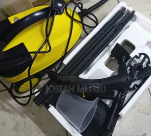 Robayse Powerful and Home Steam Cleaner
