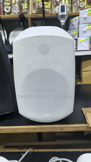 30 Watts Wall Mount Speakers
