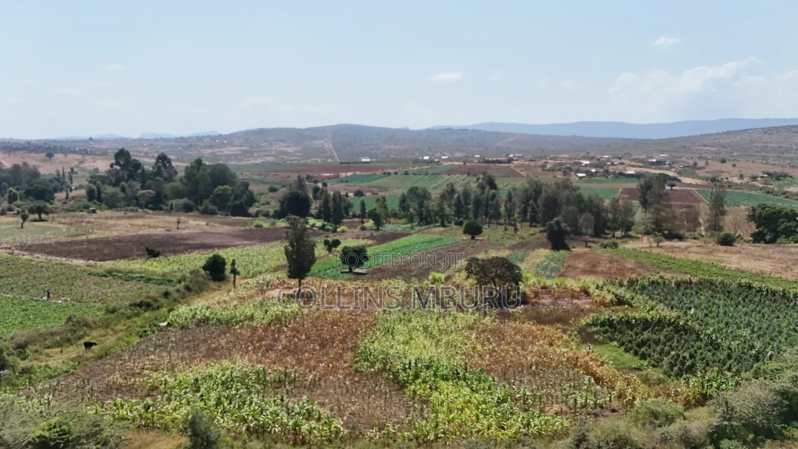 Nanyuki Plots