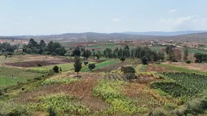 Nanyuki Plots