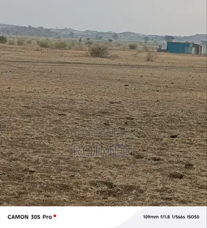 Commercial Land.