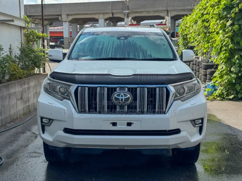 Toyota Land Cruiser Prado 2019 Silver