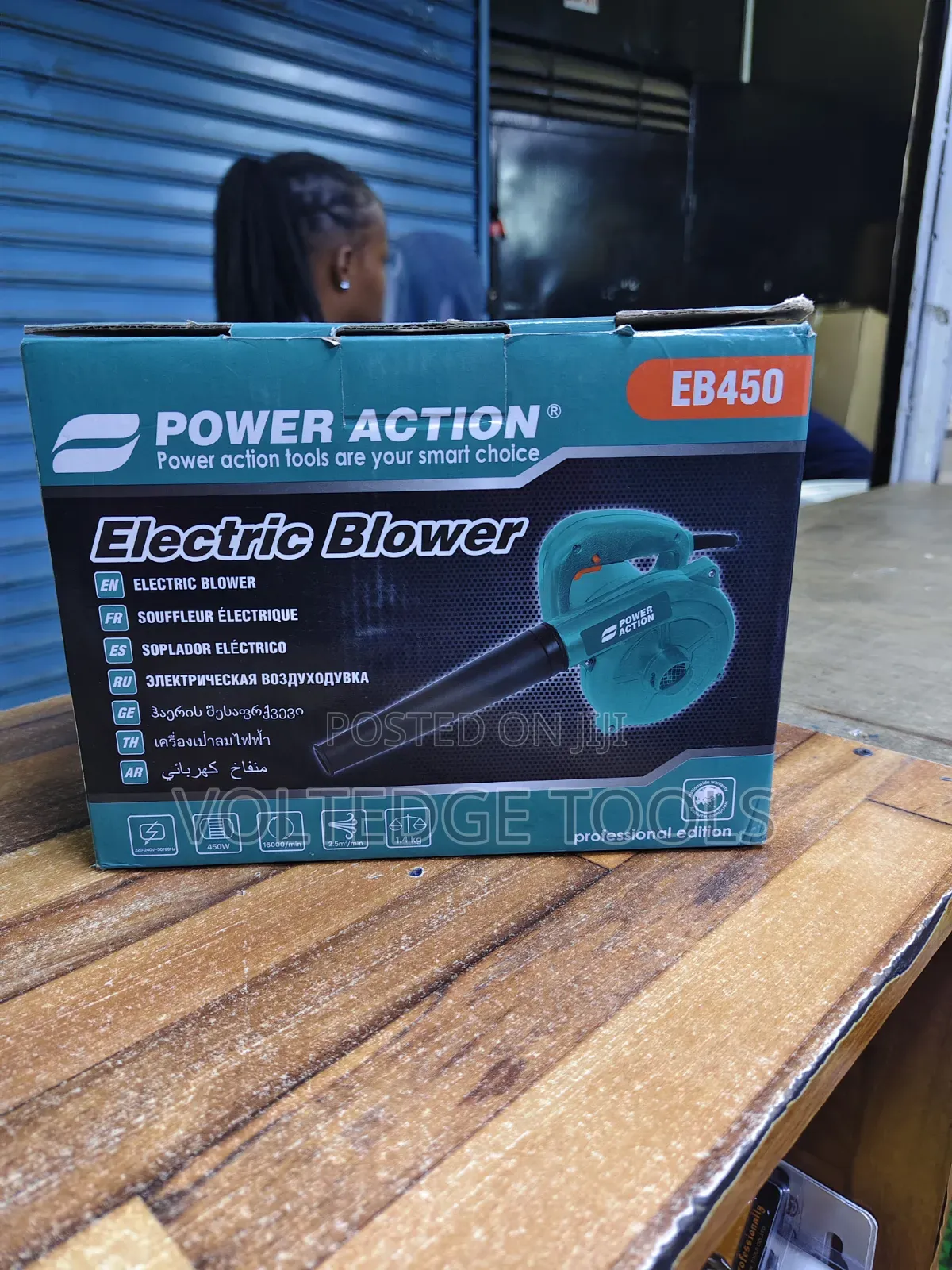 Power Action Blower 450W