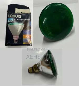 Lohuis PAR38 Green Reflector – 75W