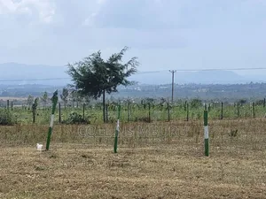 Solio Plots