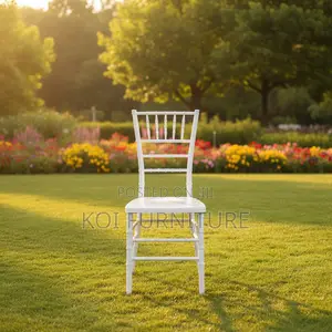 Home Chairs; White Outdoor Meeting Events Home Chairs