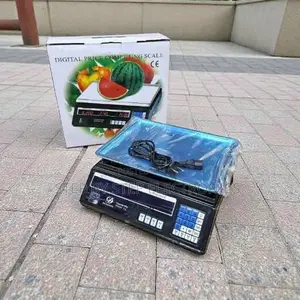 Electronic Display ACS 40 Up to 40 Kilograms Electronic Weighing Scale