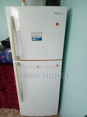 Samsung No-Frost Double Door Refrigerator RT25SK (Clean Condition)