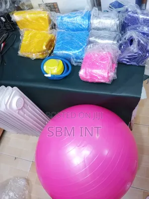 Therapeutic Exercise Gym Ball