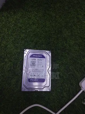 Quality WD 1TB Security Surveillance HDD