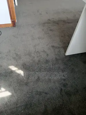 Modern Grey VIP Carpet Wall to Wall Elegant Interior Flooring