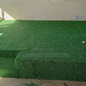 Turn Dull Spaces Into Vibrant Green Areas With Grass