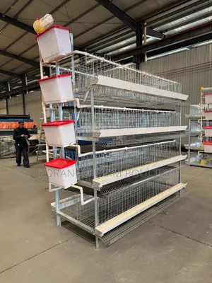 H Type 128 Birds Chicken Cages