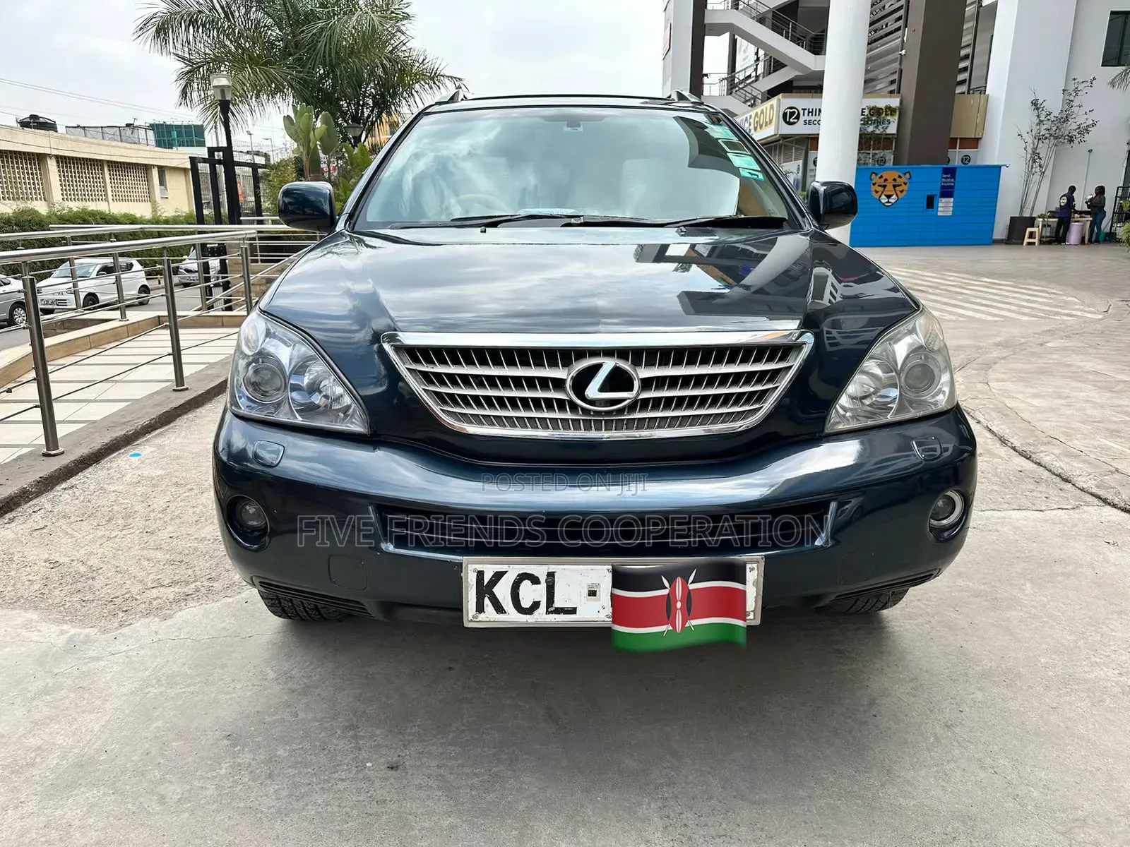 Lexus RX 2008 Gray