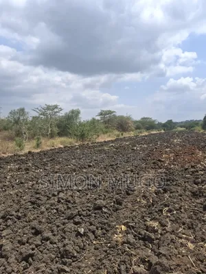 Kenol Nyeri Super Highway Rukanga Area 50x100 Freehold Title