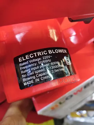 Electric Blower 600W
