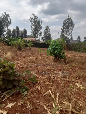 40*80ft Plots for Sale at Kenol.500mtrs Off Muranga Road at 1.75M