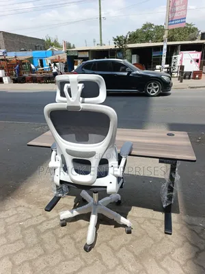 Adjustable Height Table Plus Ergonomic Office High Back Chair