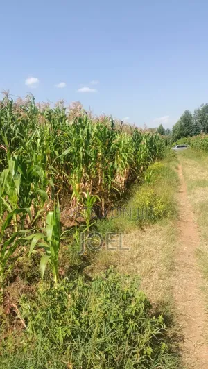 Malindi 70 Acres Touching River Sabaki